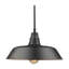 Luminaire suspendu d'extérieur 1 lumière Aleydis