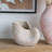 11.5X6.7X7.7" Sand And Cement Nautilus Shell Planter With Textured Beige Finish-1515714818