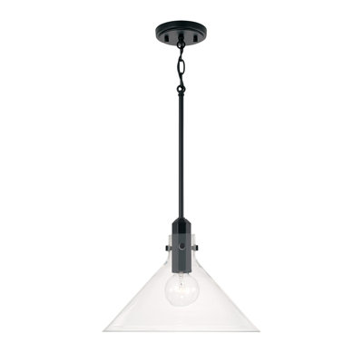 1 - Light Single Pendant