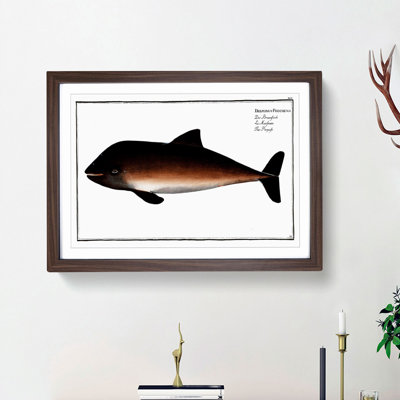 Porpoise by M.E. Bloch - Picture Frame Painting Print