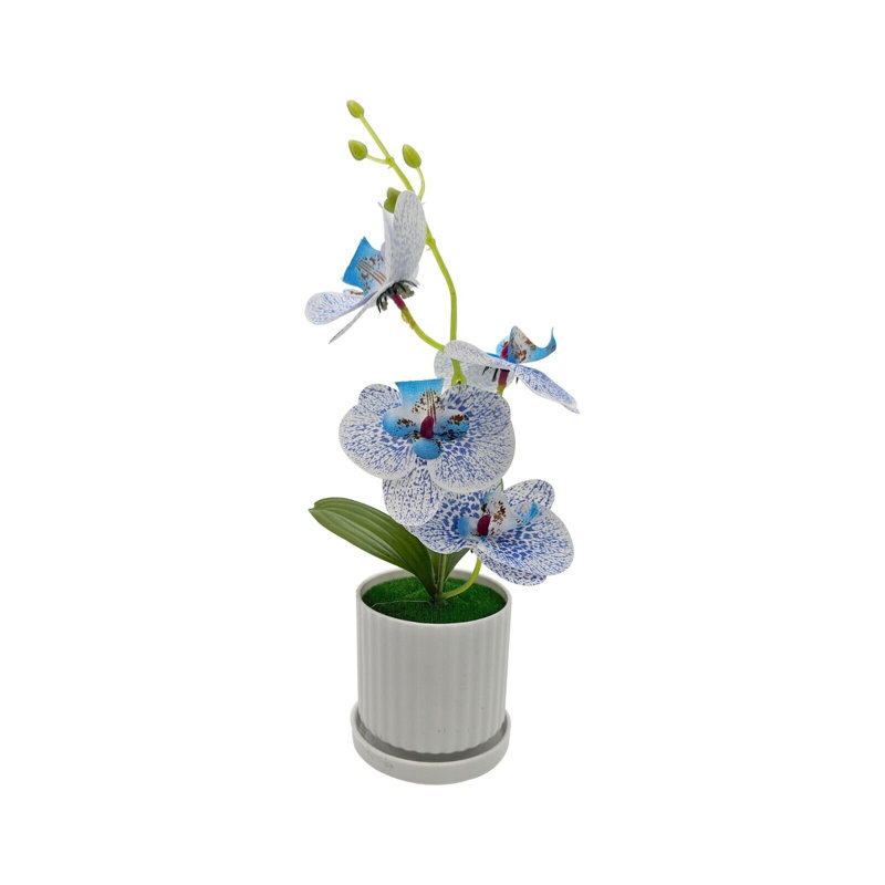 Niav Hydrangea Arrangement in Vase