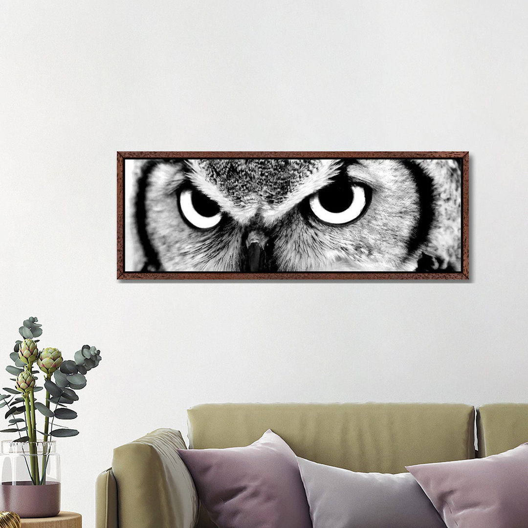 Owl Eyes von PhotoINC Studio - Floater Frame Panoramic Gallery-Wrapped Canvas Giclée on Canvas