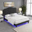 Grand lit plateforme pour chambre à coucher, lit courbé capitonné en velours noir élégant avec éclairage à DEL-533620079