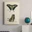 «Butterfly Profile II», impression sur toile tendue-824633265