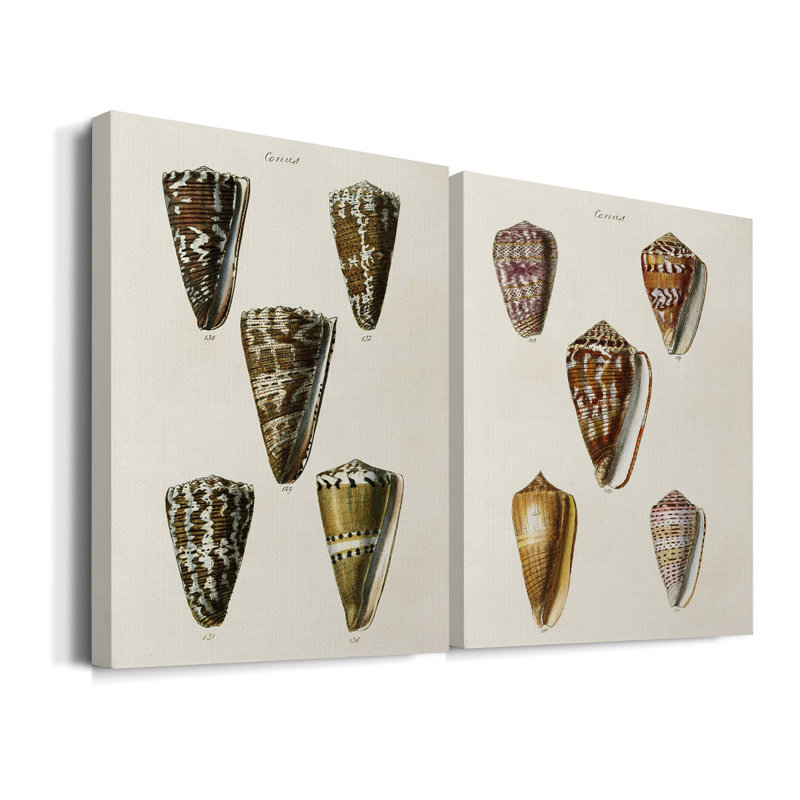 Toile tendue avec châssis V-Premium de la collection Cone Shell, H 27 po x l 36 po