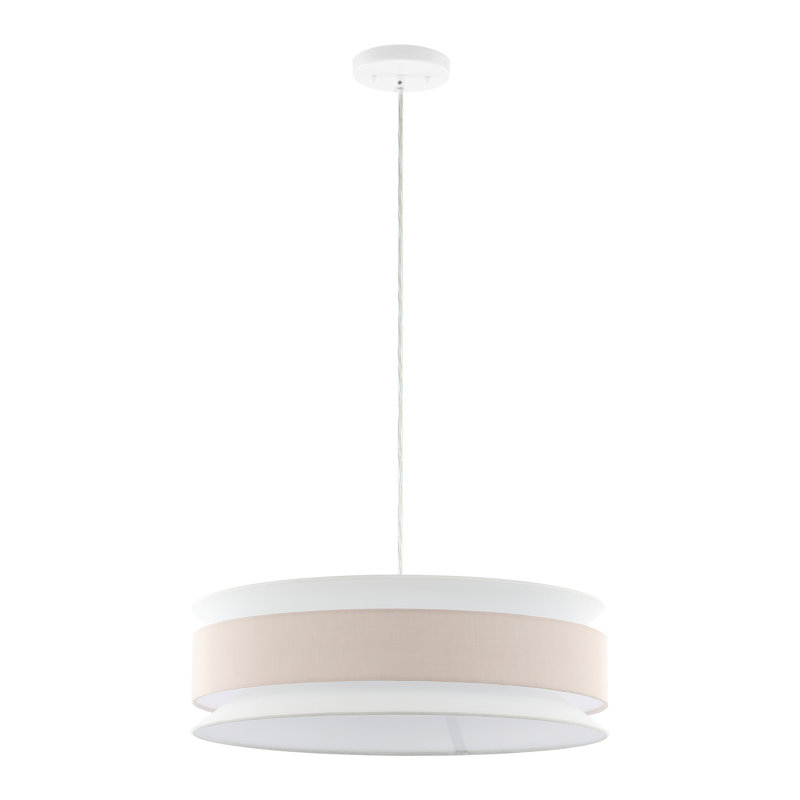 Luminaire suspendu extensible 20 po Caffrey