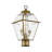 Arelene Lantern Head-288748202