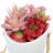 Wall Hanging Artificial Red Pink Succulent Plant