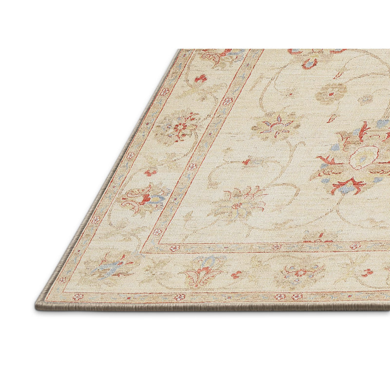 Dubreuil Oriental Indoor Rug, Rectangle 5' x 8'
