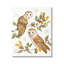 Peacely Barn Owl-71064995-71064996