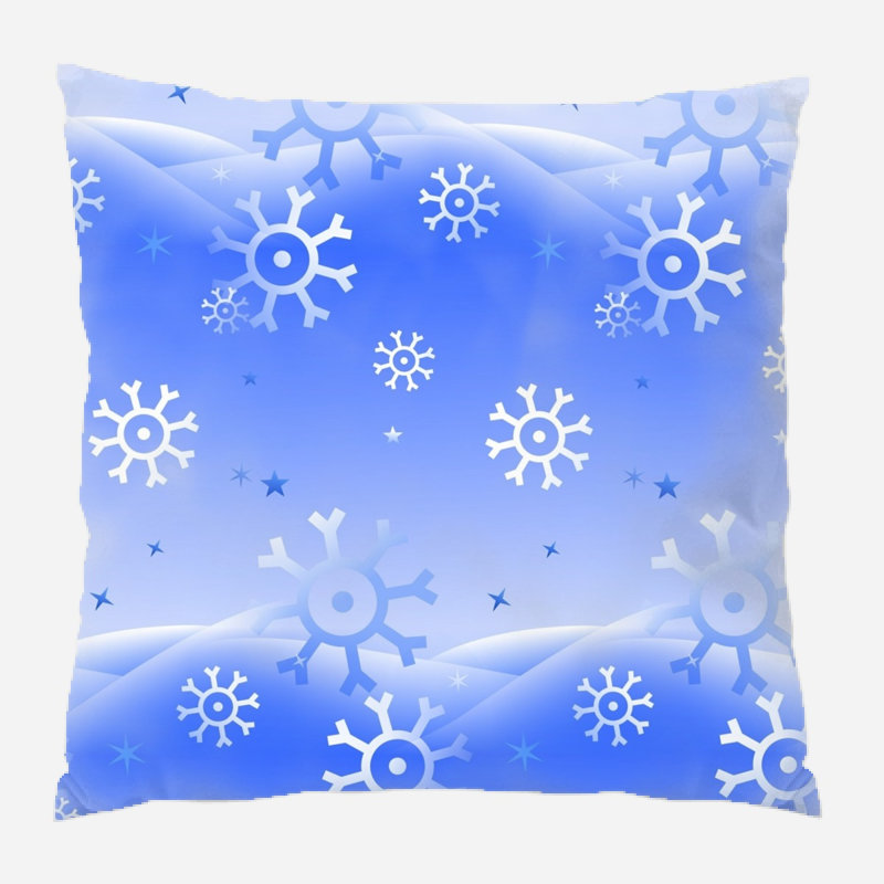 Coussin décoratif transparent, Intérieur