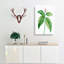 Japanese Laurel Flowers by Pierre-Joseph Redoute - Wrapped Canvas-55363081