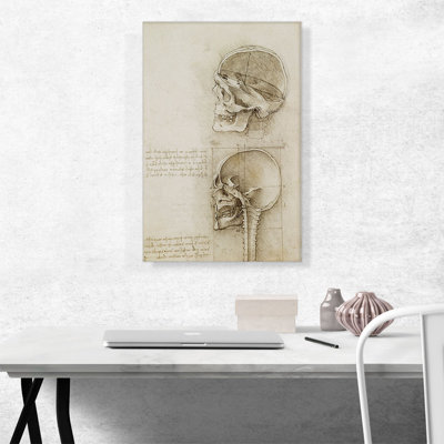 " Studies Of The Human Body The Skull " by Leonardo Da Vinci Painting Print
