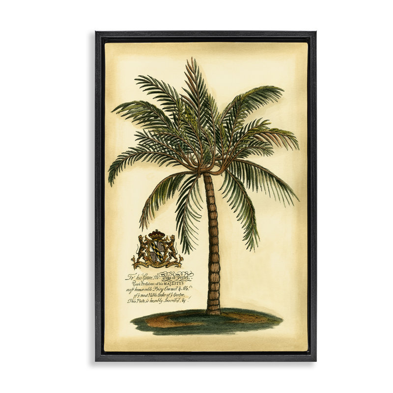 Cadre flottant British Colonial Palm, design par Vision Studio, Cadre flottant noir de jais, H 25 po x l 17 po
