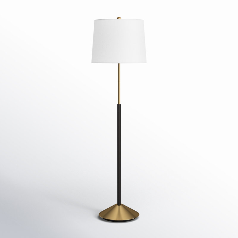 Finan 62'' Brushed Traditional Floor Lamp