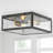 Bechtold Farmhouse Industrial Square Iron/Glass Case LED Flush Mount-2017698226-2066472388