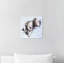 «Animals Sleeping Pitbull Dogs and Puppies», reproduction d'impression sur toile-711389255-731037175