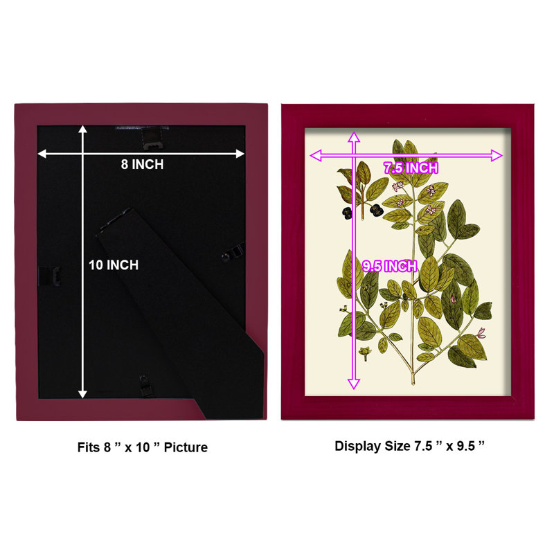 Olive Greenery VII, reproduction d'art encadrée, Rouge, H 11 po x l 9 po x P 1 po
