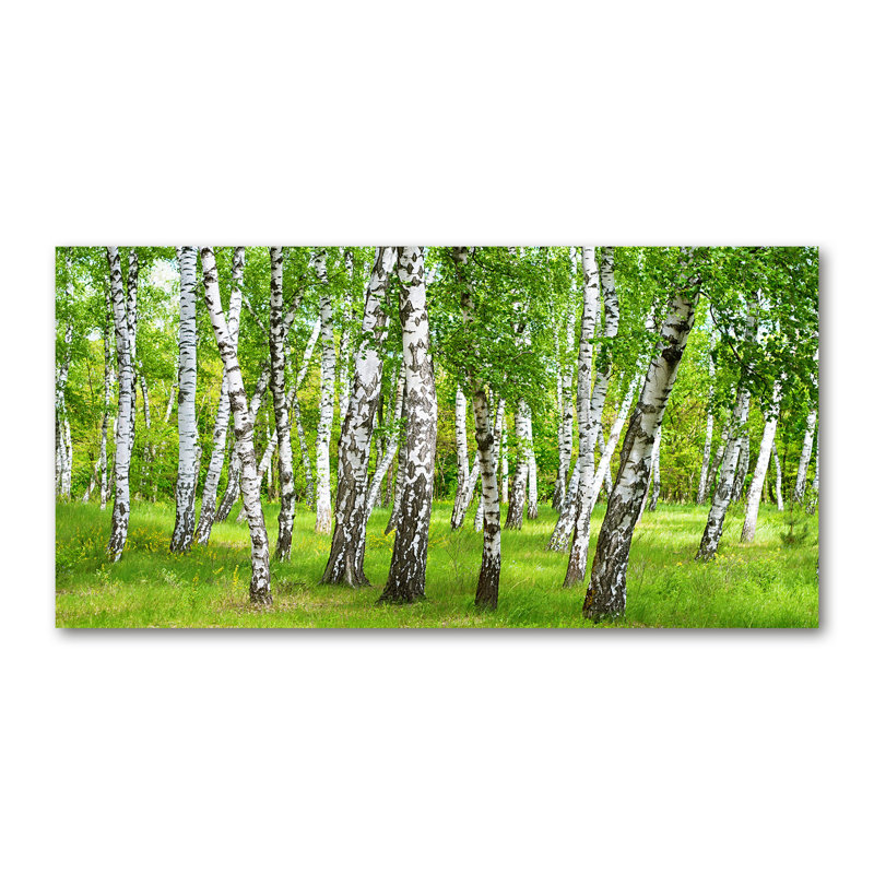 Birch Forest - Print, Wrapped Canvas, 70cm H x 140cm W x 2cm D