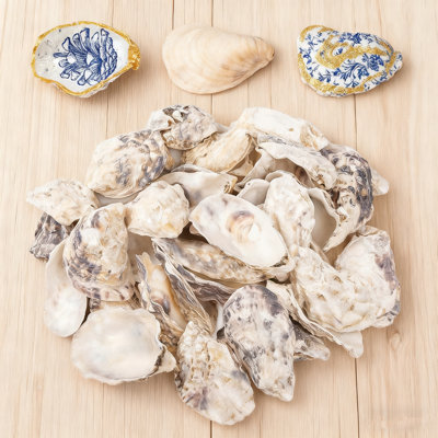 25PCS Natural Oyster Shells 3-4 Inch, Concave Seashells Bulk For DIY Crafts, Christmas Ornaments, Home Vase Filler, Beach Wedding Decor