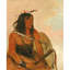 Ish-A-Ro-Yeh, Celui qui porte un loup, un brave distingué (1834)-125455200