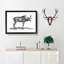 An Elk In Black And White by George Shaw - Single Picture Frame Print-55544843-55544841