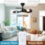 Krol 42'' Ceiling Fan with LED Lights