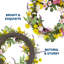 Couronne de tulipes et de lavande avec verdure luxuriante pour la porte d'entrée-243589090