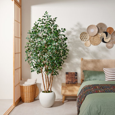 Barnette Grand 6Ft-8Ft Artificial Multi-Stem Ficus Tree With Authentic Real Wood Trunks - Lush Faux Potted Tree In Modern Round White Planter For Organic Modern & Japandi Interior Decor