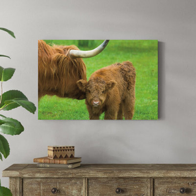 «Scottish Highland Cattle VII» par Alan Majchrowicz, reproduction de photo sur toile tendue