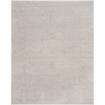 Overholt Performance Oriental Rug