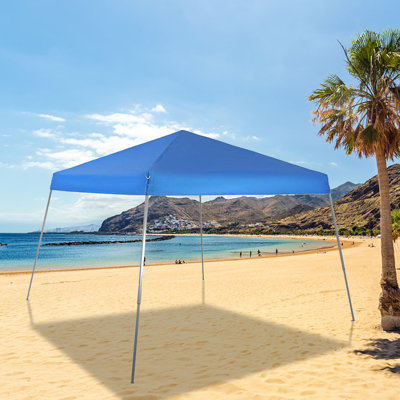 Syedali 12 Ft. W x 12 Ft. D Steel Pop-up Canopy