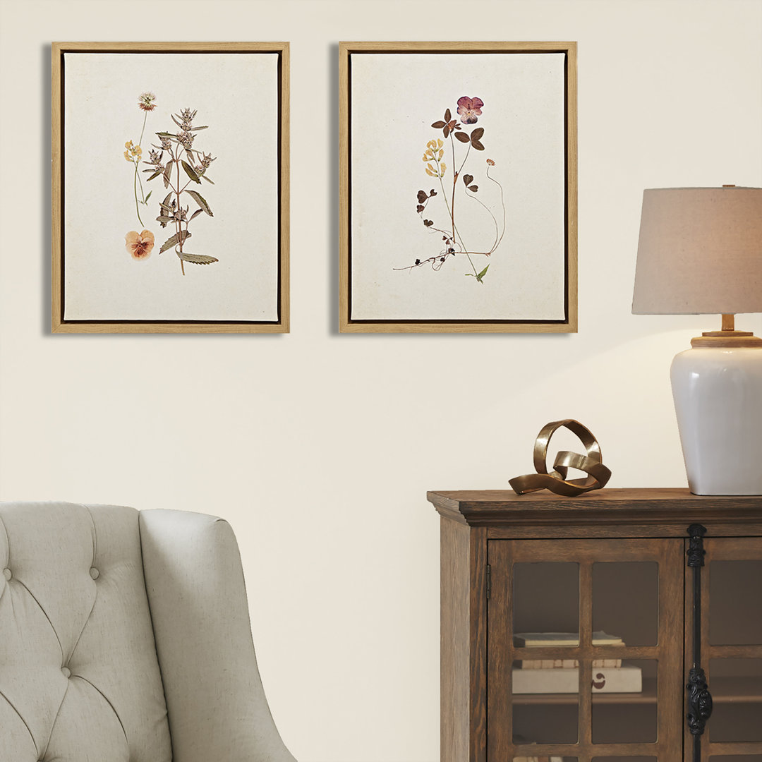 French Herbarium 2-piece Framed Canvas Wall Art Set Madison Park