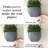 Wall Planter-50341645