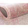 Rizo Oriental Indoor Rug