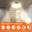 1-Light Flush Mount