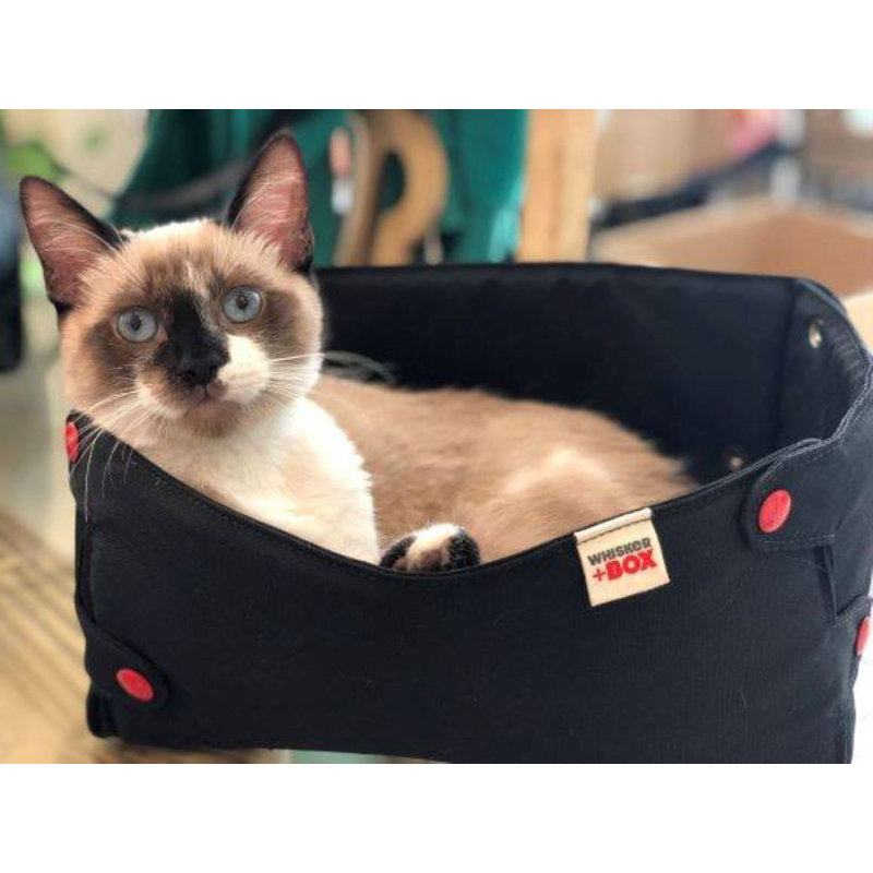 Canvas Nest Pet Bed, Black/Red