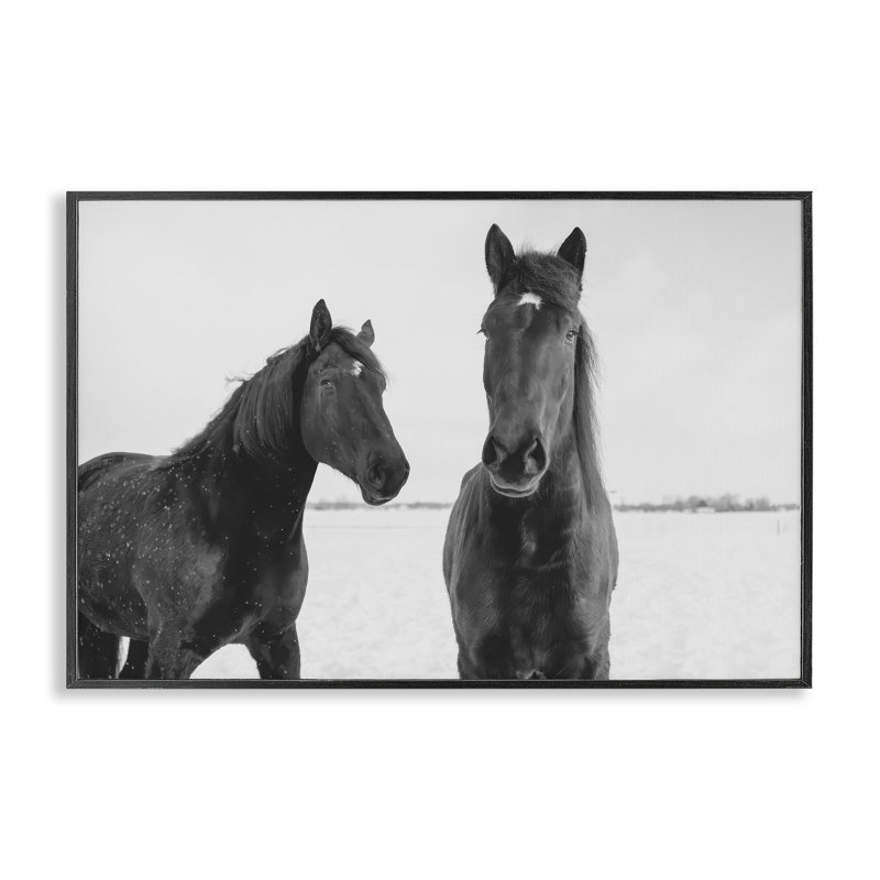 Draisma Hirdes Winter Horses, giclée encadrée, design par Amy Carroll, H 12 po x l 18 po, Giclée encadrée noir minuit
