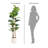 Faux Fiddle Leaf Fig Tree in Pot - 5.5 ft Artificial Indoor Floor Plant with Realistic Green Leaves for Living Room Office