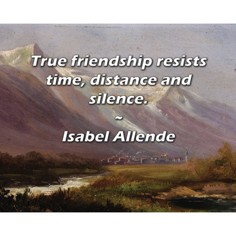 Toile tendue avec toile Trinx par Isabel Allende: «La véritable amitié résiste au temps, à la distance et à