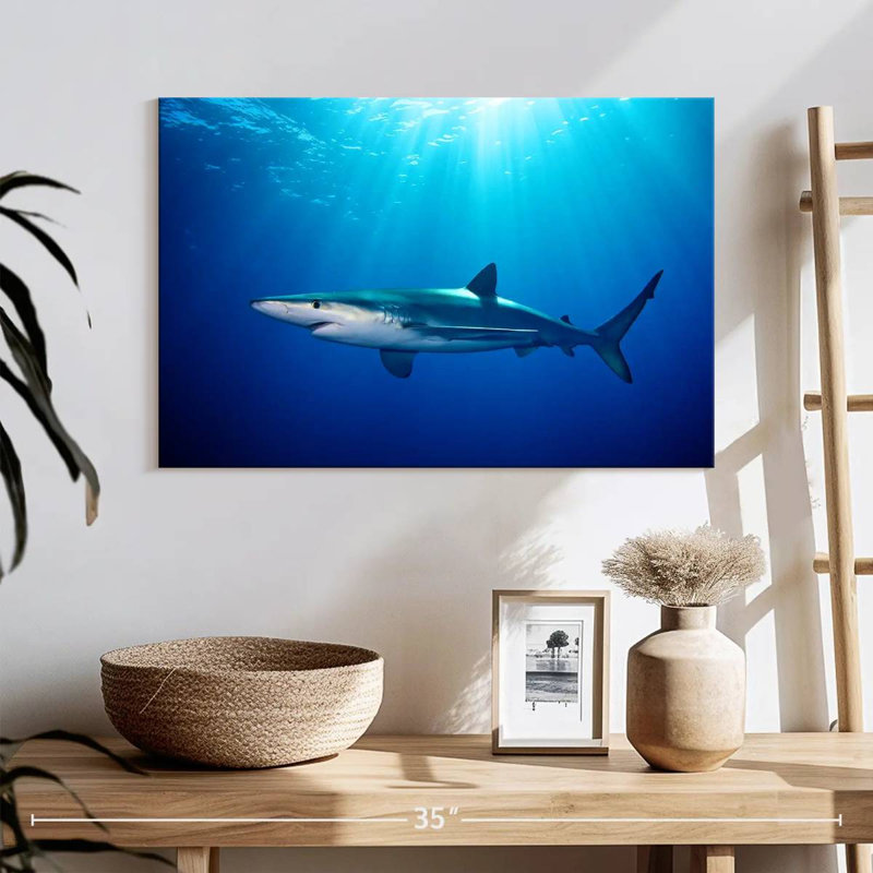 Brampt Blue Shark In Gordon's Bay, 16" H x 24" W