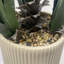 XL Commercial Artificial Plant Displays 113cm Faux Orchid Plant in Pot Liner