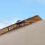 Parasol Hokku Designs-1559475617