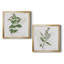 «Kitchen Garden I», ensemble de 2 reproductions d'art encadrées-2054049738-2054049728-2054049733
