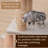 Anywhere Massager