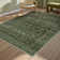 Goudeau Vintage Green Area Rugs For Living Room With Non-Slip Backing