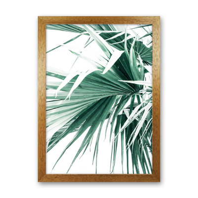 Palm Leaves by Victoria Frost - Print