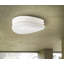 Honaye Glass Flush Mount