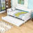 Twin Daybed with Twin Trundle