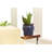 Wisteria Handmade Ceramic Pot Planter-36954725